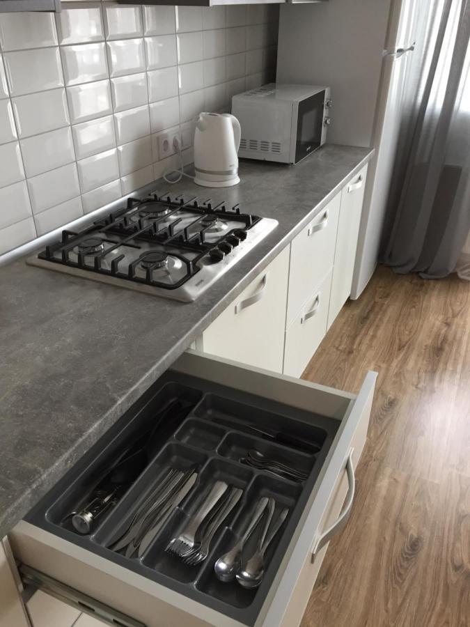Scandinavian Apartment Lviv Dış mekan fotoğraf